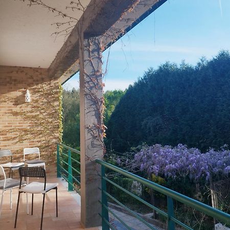 Casa Campo Ao Rio_Village Barcelos Kültér fotó