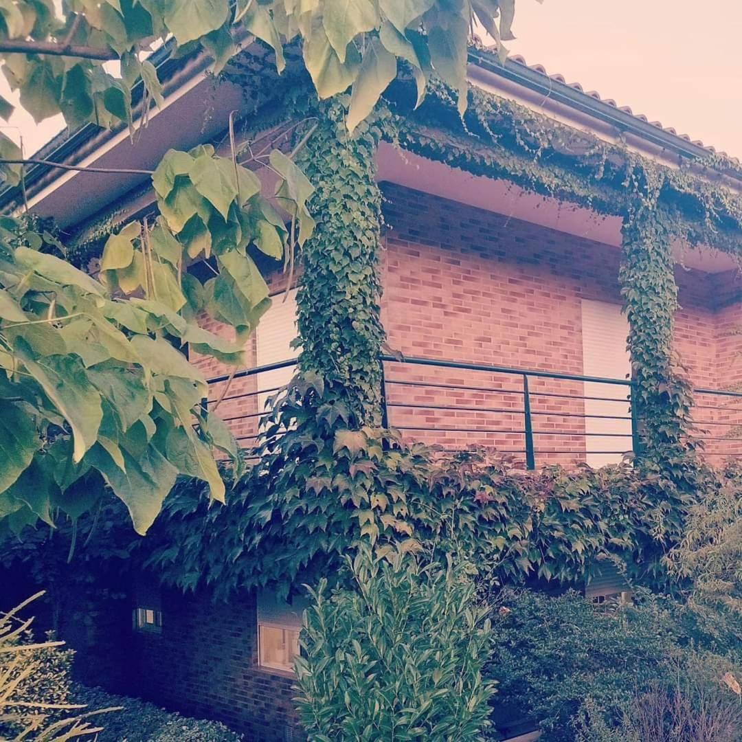 Casa Campo Ao Rio_Village Barcelos Kültér fotó