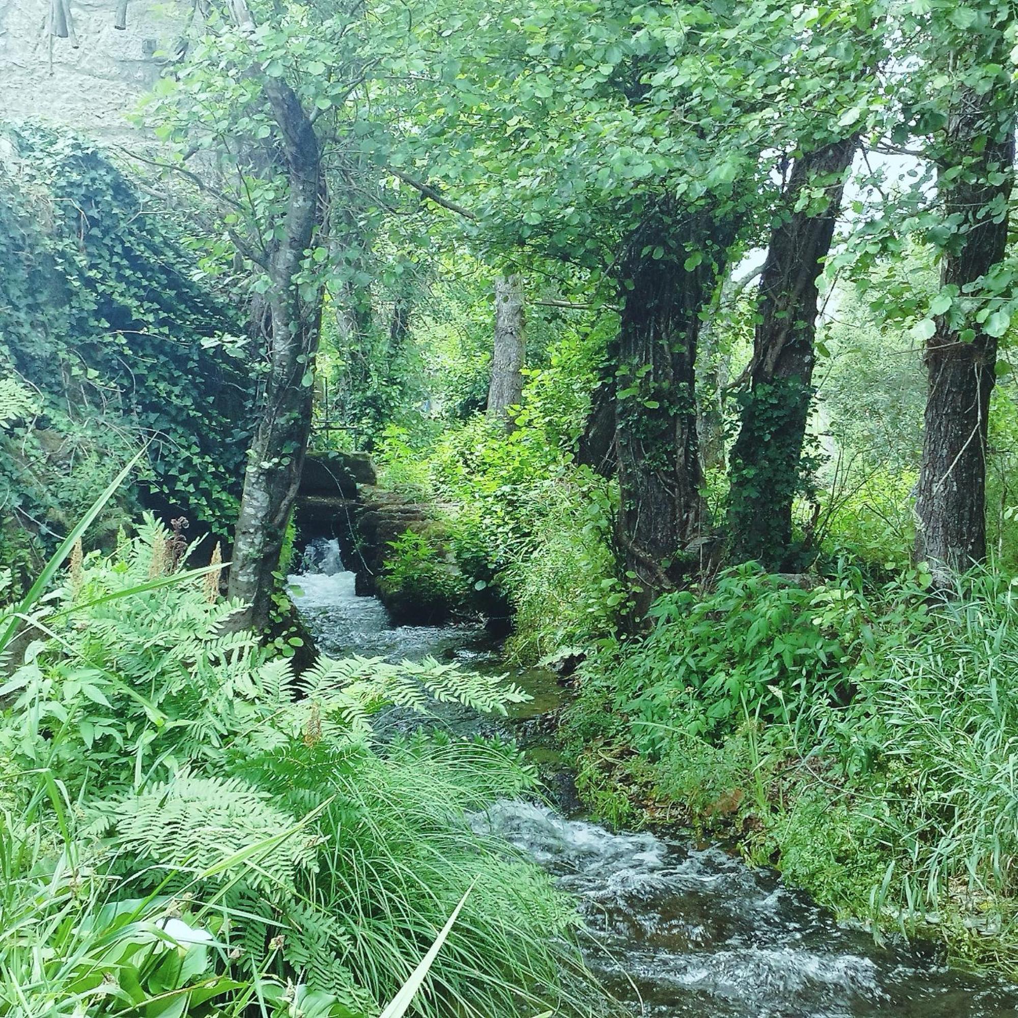 Casa Campo Ao Rio_Village Barcelos Kültér fotó